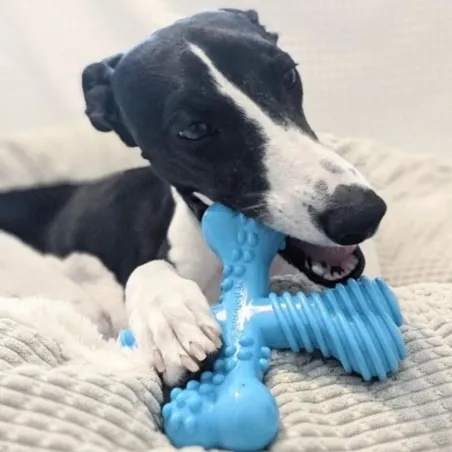 Nylabone L närimismänguasi Power Chew X Bone beef