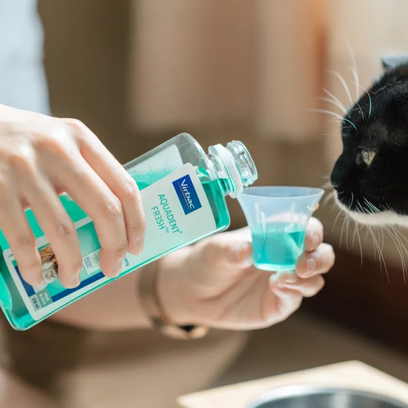 VIRBAC suuvesi koertele ja kassidele Vet Aquadent 250ml