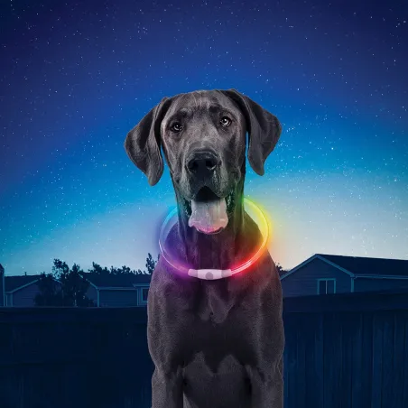 Nite Ize NiteHowl LED kaelavõru laetav