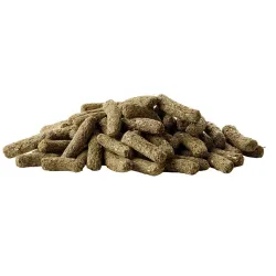 Versele Laga tšintšilja & deegu täissööt Complete 500g