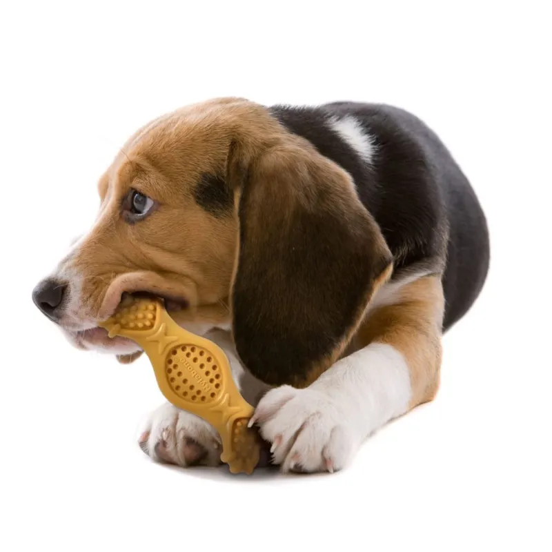 Nylabone maiustega täidetav närimismänguasi koertele Extreme Chew-it Fill-it Treat Toy M