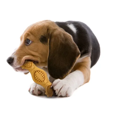Nylabone maiustega täidetav närimismänguasi koertele Extreme Chew-it Fill-it Treat Toy M