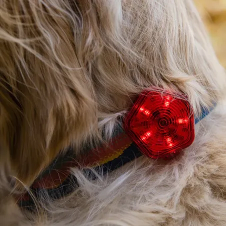 Ruffwear Audible Beacon™ Safety Light