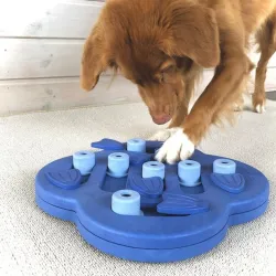 Nina Ottosson Dog Hide N Slide sinine