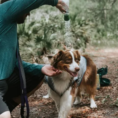 Kurgo Mud Dog reisidušš pudeli otsik