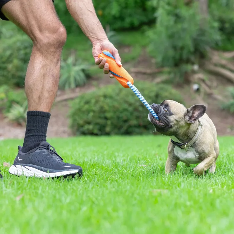 Chuckit! nööriga tirimis- ja viskemänguasi Ultra Bumper Tug