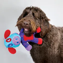 KONG kahepoolne mänguasi Switcheroos valik L