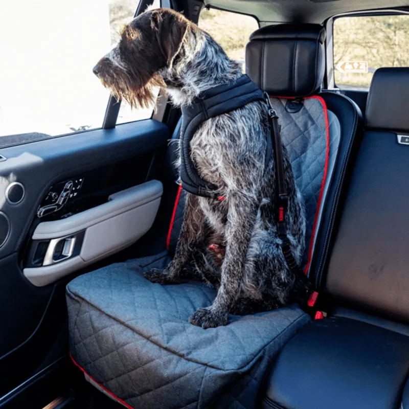 Kong auto esiistme kate