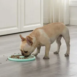 Aeglaselt söömise kauss lühikese koonuga koertele Outward Hound Fun Feeder Slow Tray L münt