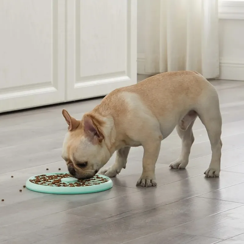 Aeglaselt söömise kauss lühikese koonuga koertele Outward Hound Fun Feeder Slow Tray L münt