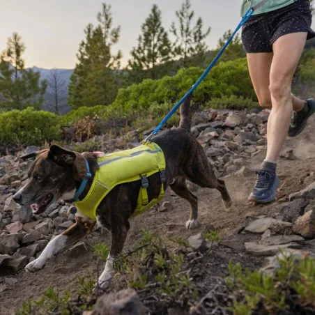 Ruffwear Trail Runner™ jooksurihm L sinine