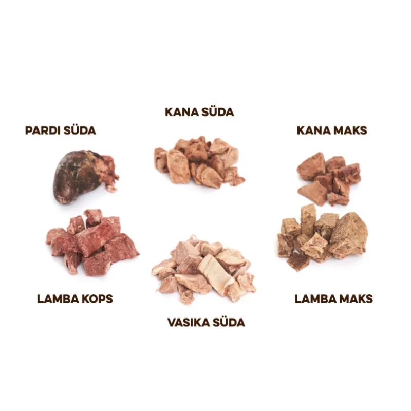 Best Barf koera advendikalender 100g