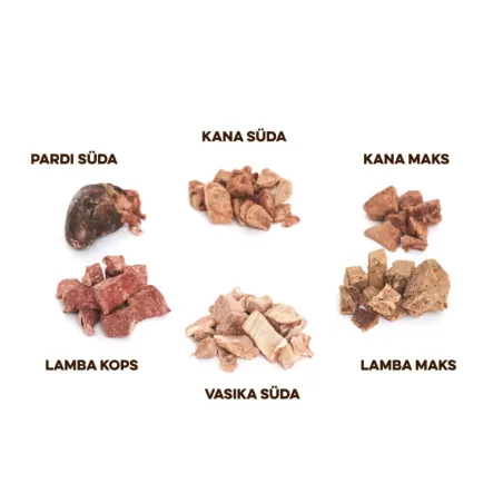Best Barf koera advendikalender 100g