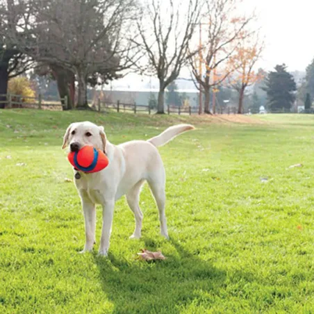 Chuckit! Fumble Fetch S