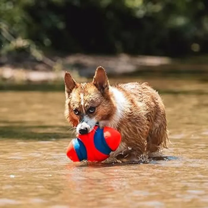 Chuckit! Fumble Fetch S
