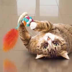 KONG pehme sulgedega pall kassidele Cat Active Bubble Ball