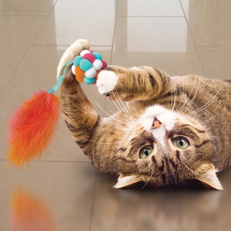 KONG pehme sulgedega pall kassidele Cat Active Bubble Ball
