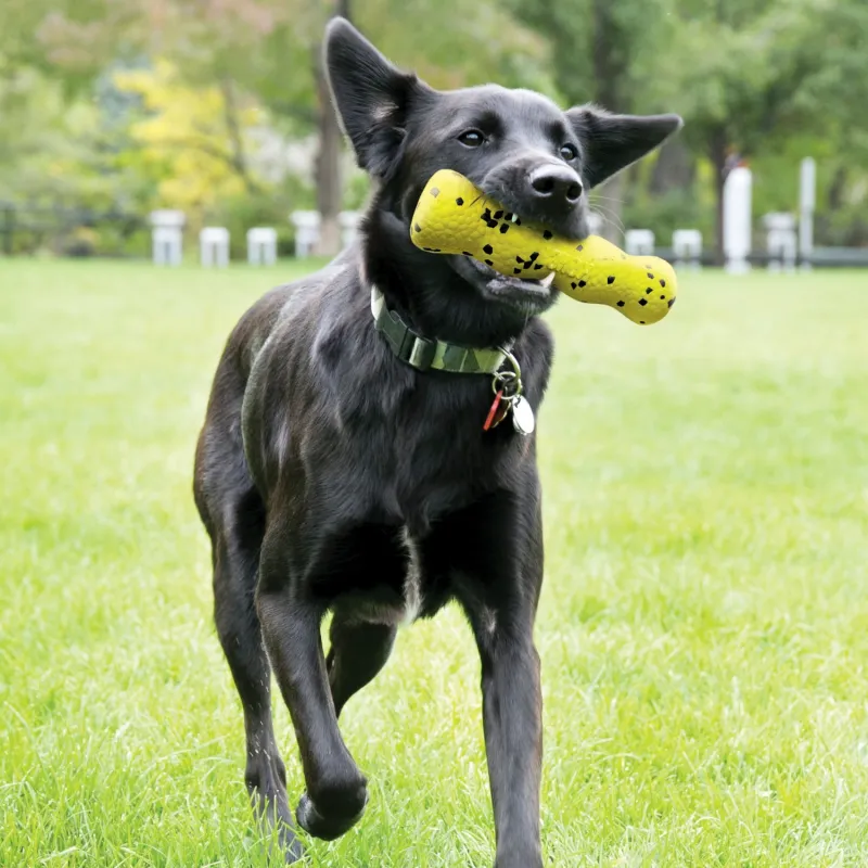 KONG Reflex Stick