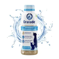 Oralade GI ägedate ja paranemisjärgus seedehäirete puhul energiajook 500ml