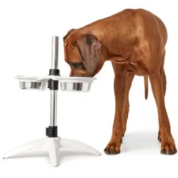 Dog bar Atlanta 2×650 ml   66586