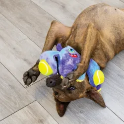 KONG Woozles Monster M