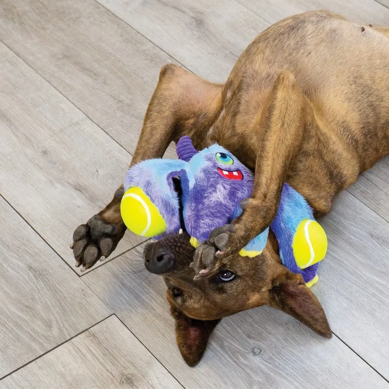 KONG Woozles Monster M