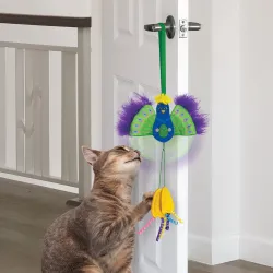 KONG rippuv mänguasi kassidele Connects Switch Peacock