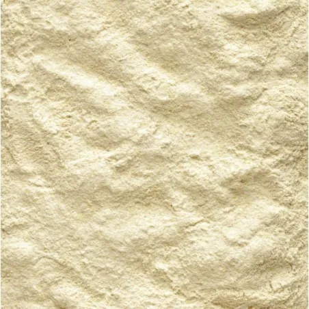 VERSELE-LAGA LINDUDE TÄISSÖÖT NUTRIBIRD A21 800G