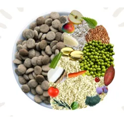 DLG lihavaba kuivtoit Plant Power 5 kg