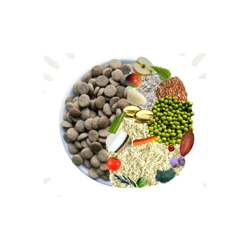 DLG lihavaba kuivtoit Plant Power 5 kg