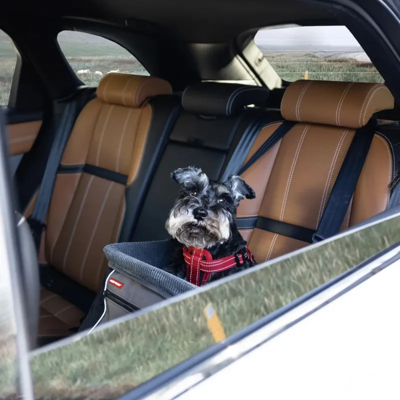 Ezydog iste autosse Drive Booster Seat tumehall