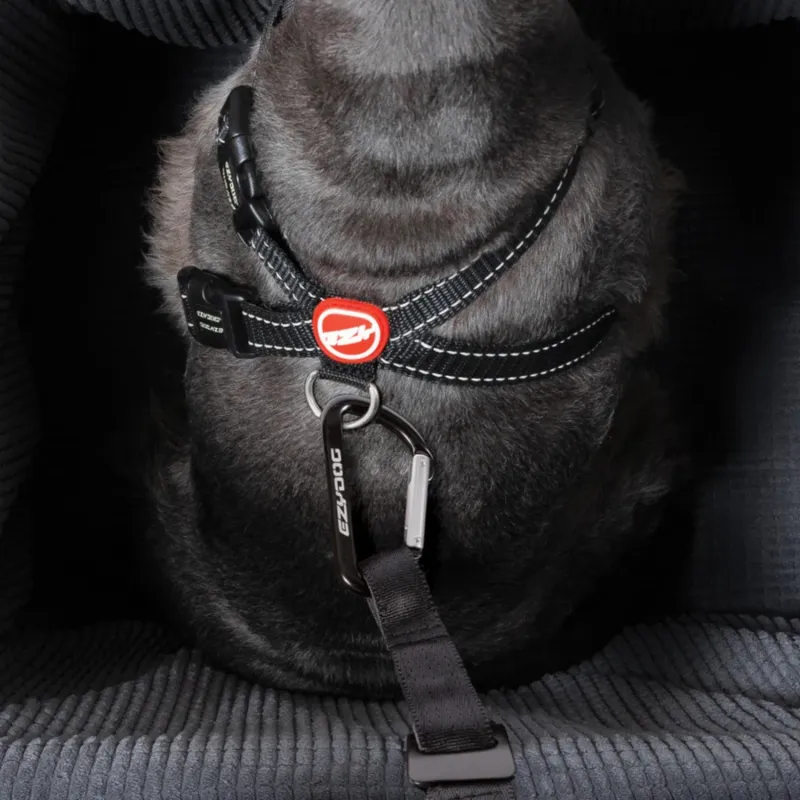 Ezydog iste autosse Drive Booster Seat tumehall