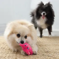 Snuzzles Mini Pig XS
