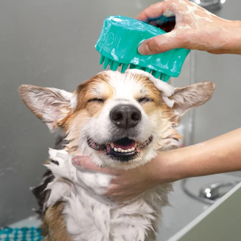KONG ZoomGroom Bubbles L
