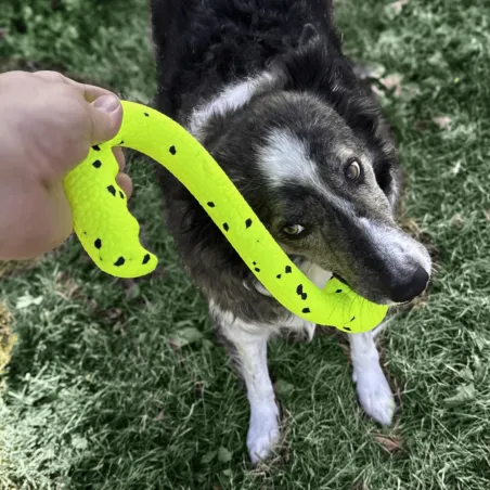 KONG Reflex Tug ‘n Fetch