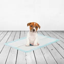 Savic kutsika treeninglinad 30 tk MEDIUM 45X30cm