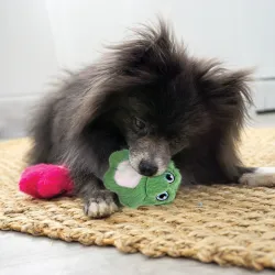 Snuzzles Mini Frog XS