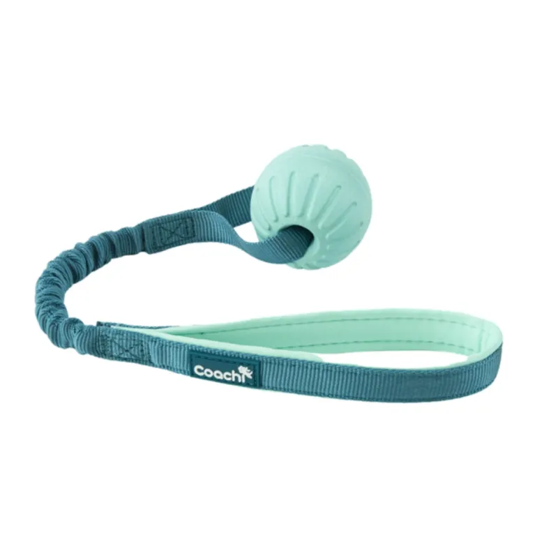 Coachi Puppy & Mini Tuggi Ball Teal & Mint