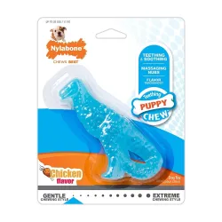 Nylabone kutsika närimismänguasi kanamaitseline Puppy Dino dental chicken S