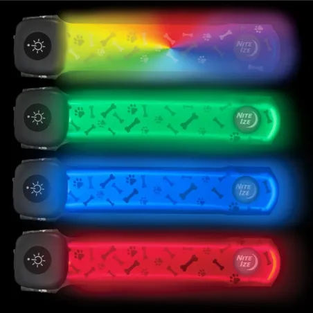 NiteDog kate kaelarihmale (laetav) LED Disc-O