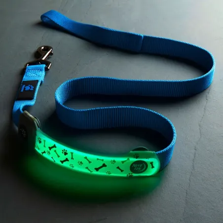 NiteDog kate kaelarihmale (laetav) LED Disc-O