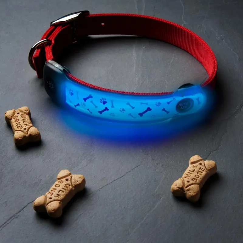 NiteDog kate kaelarihmale (laetav) LED Disc-O