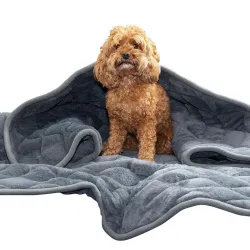 KONG Raskusega rahustav tekk Weighted Calming Blanket
