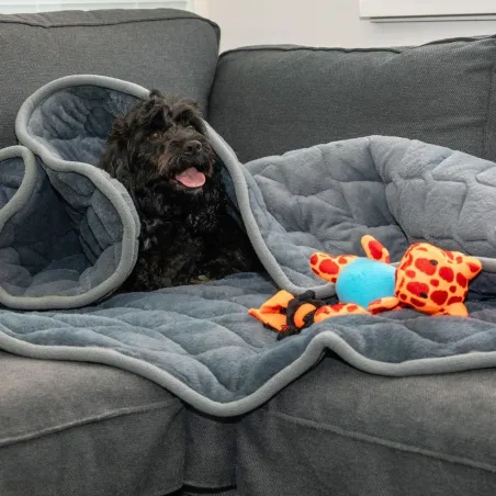 KONG Raskusega rahustav tekk Weighted Calming Blanket
