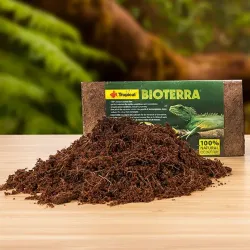 Tropical reptiilide allapanu BIOTERRA 650g