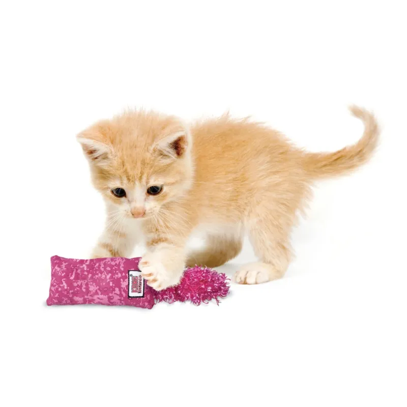 KONG pehme mänguasi kassipoegadele Kickeroo Kitten