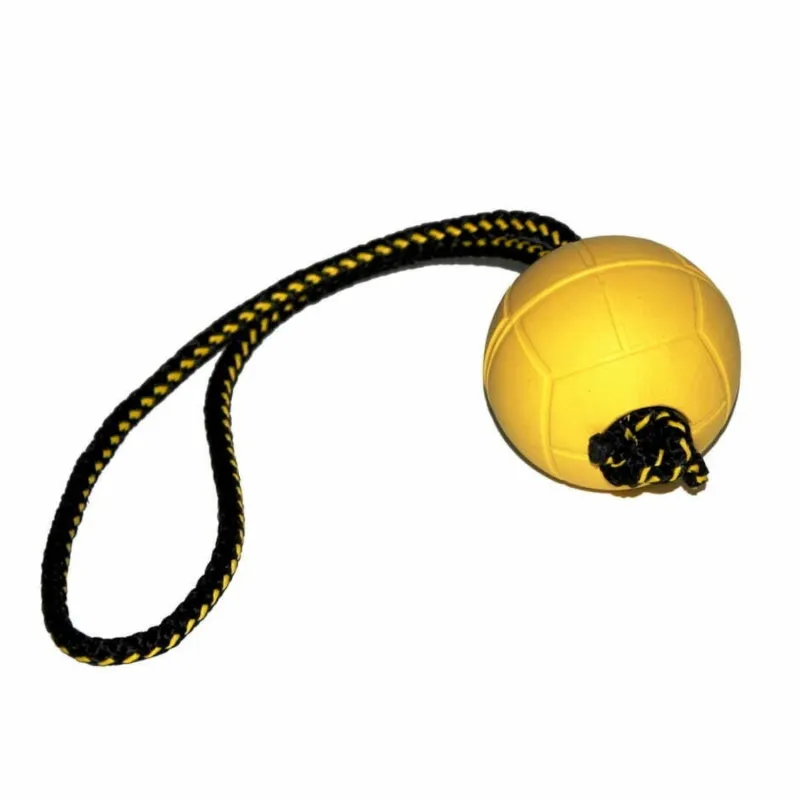 Dingo pehme kummipall 70mm 30cm käepidemega