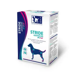 Stride Advanced 500ml