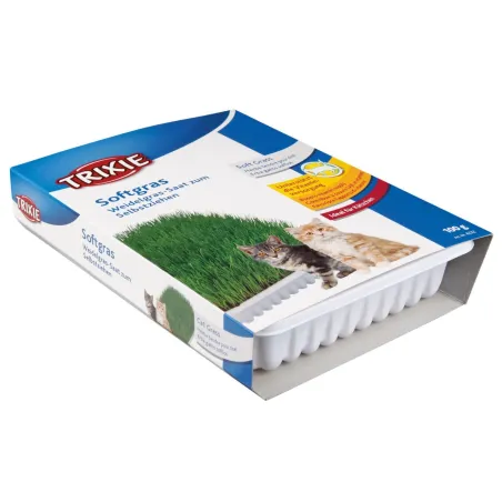Kassimuru BIO 100g karp
