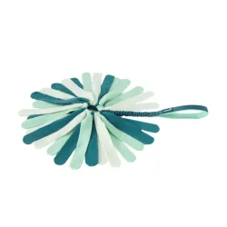 Coachi Puppy & Mini Tuggi Spider Teal & Mint